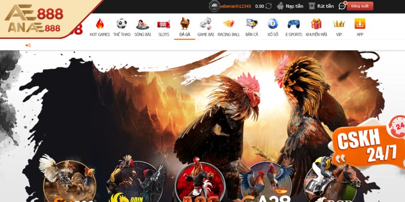 Giới thiệu tổng quan về sảnh đá gà AE888