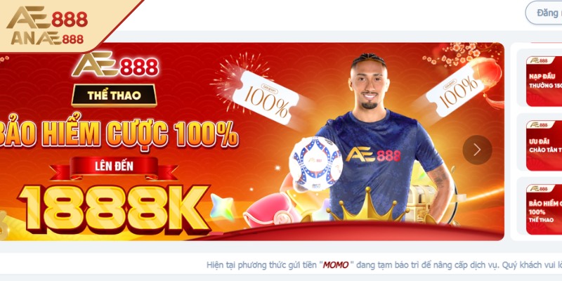 Chính sách chi trả minh bạch, nhiều khuyến mãi