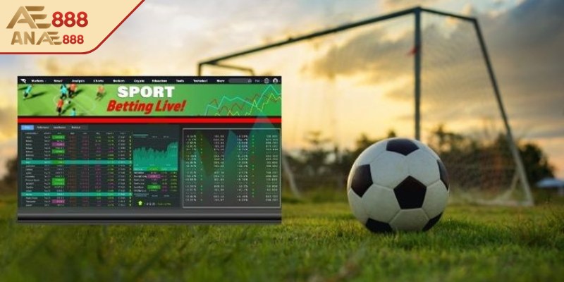 Đôi điều về kèo Handicap tại AE888