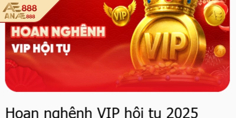 Quyền lợi VIP được quy định rõ ràng